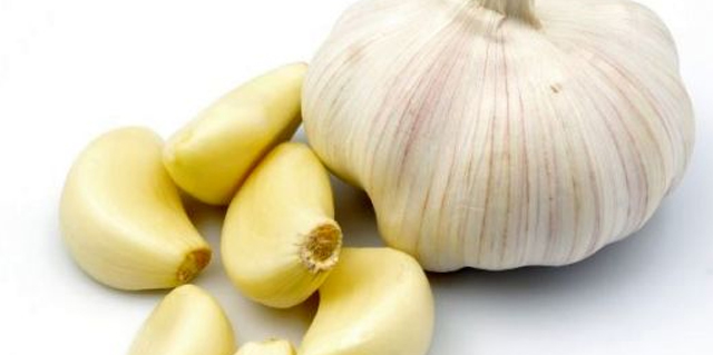 garlic www