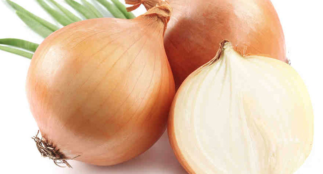 cebula onion