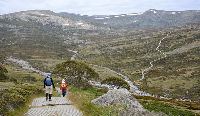 polonika-mt-kosciuszko-www