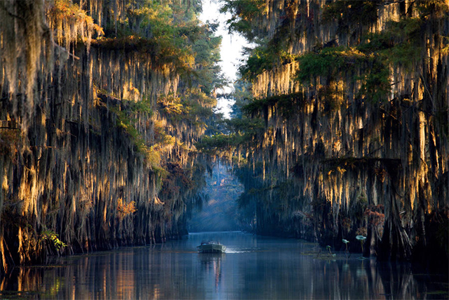 caddo lake