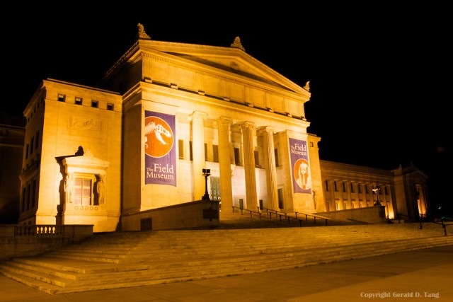 The Field Museum at Night 707834
