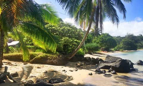 Największa powódź na Hawajach od ponad 20 lat