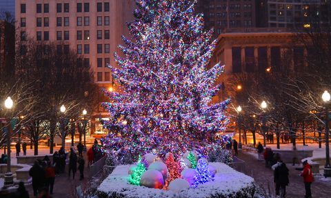 Już dziś choinka rozświetli Millenium Park