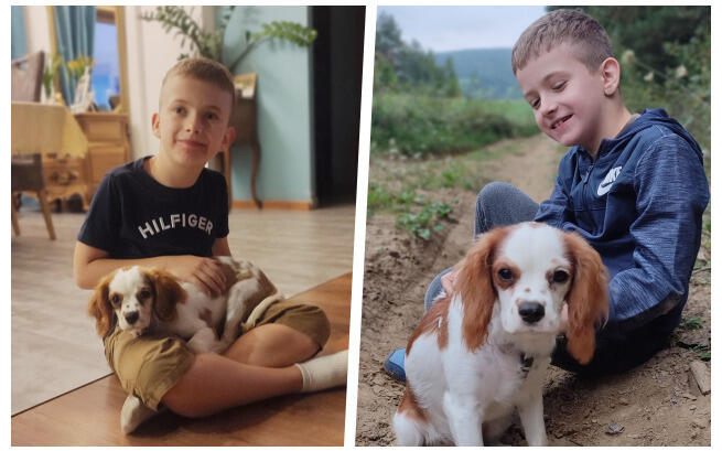 Pomoc – ten najpiękniejszy odruch serca