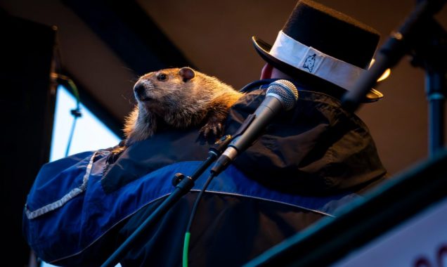 Świstak Willie z Woodstock zapowiada wczesną wiosnę