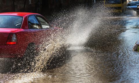 Burze i podtopienia w Illinois – powalone drzewa, zalane drogi