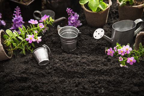 Gleba pod wysiew warzyw