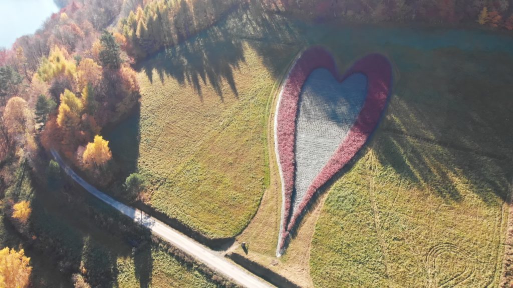 Podkarpacie – natura, tradycja i nowoczesność