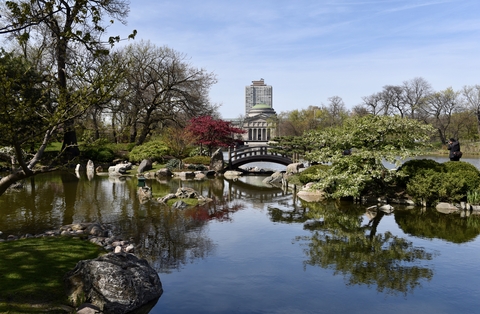Garden of the Phoenix – jesienna perełka Chicago